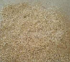 ��ľ�۵��x���_���Ę˜�