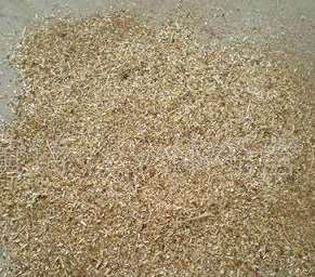 ��ľ�ۃr��ߵͲ�ͬ������