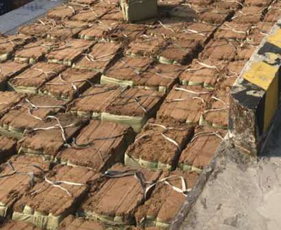 ����ľ�w�S���\ݔ�Ĵ�����B