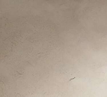 ��B��������sľ��