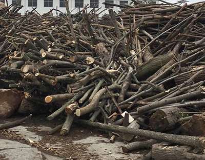 ľ�ĵĺ�ɷ����c����