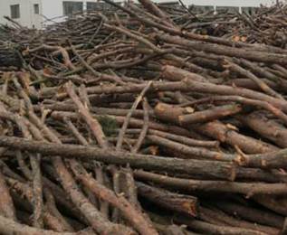 ľ�ĵđ�(y��ng)����r��ô��