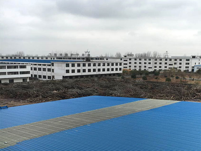 �̓r(ji��)���q �ߜر��� ľ���Ј������^�m(x��)�Љ�